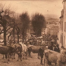 1326275039-carte-postale-marche-oloron-boeufs